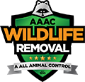 Muskego Wildlife Removal